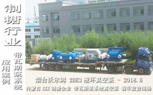 2018.6內蒙古某制糖企業帶瓦斯泵系統的2BE3液環真空泵案例